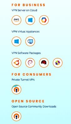 Reseña Open VPN: Características.