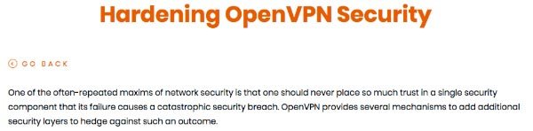 Reseña Open VPN: Seguridad.