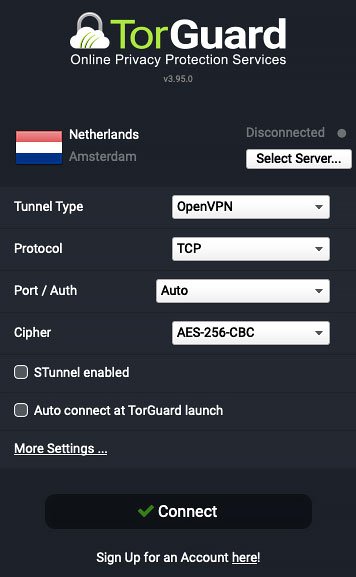 Reseña TorGuard VPN: Interfaz.